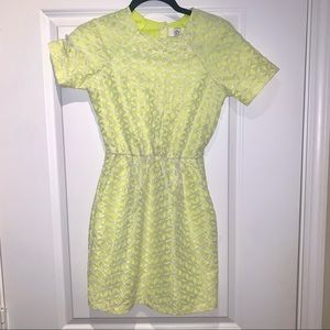 Dolce Vita Lace Dress